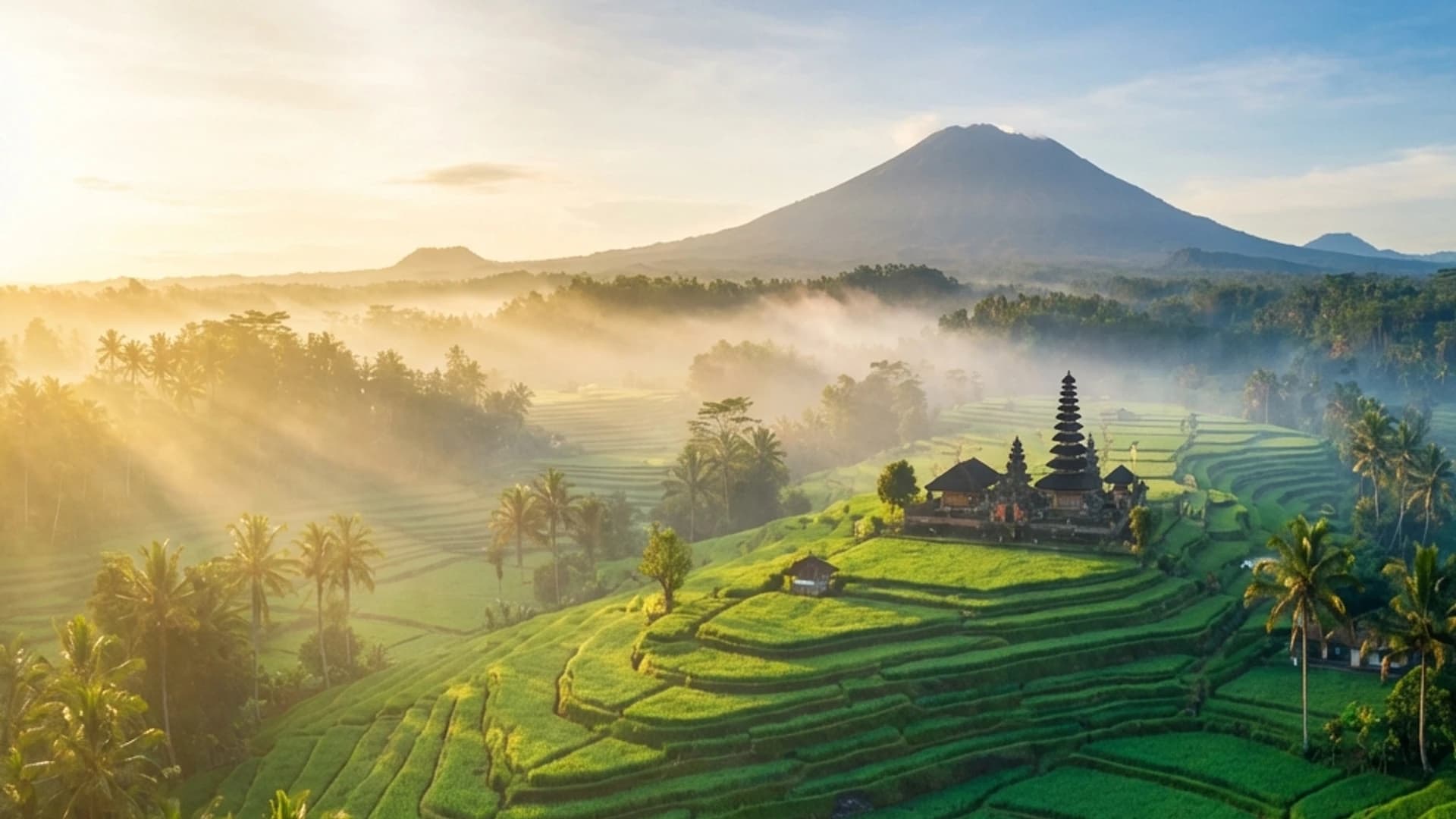 Indonesia background