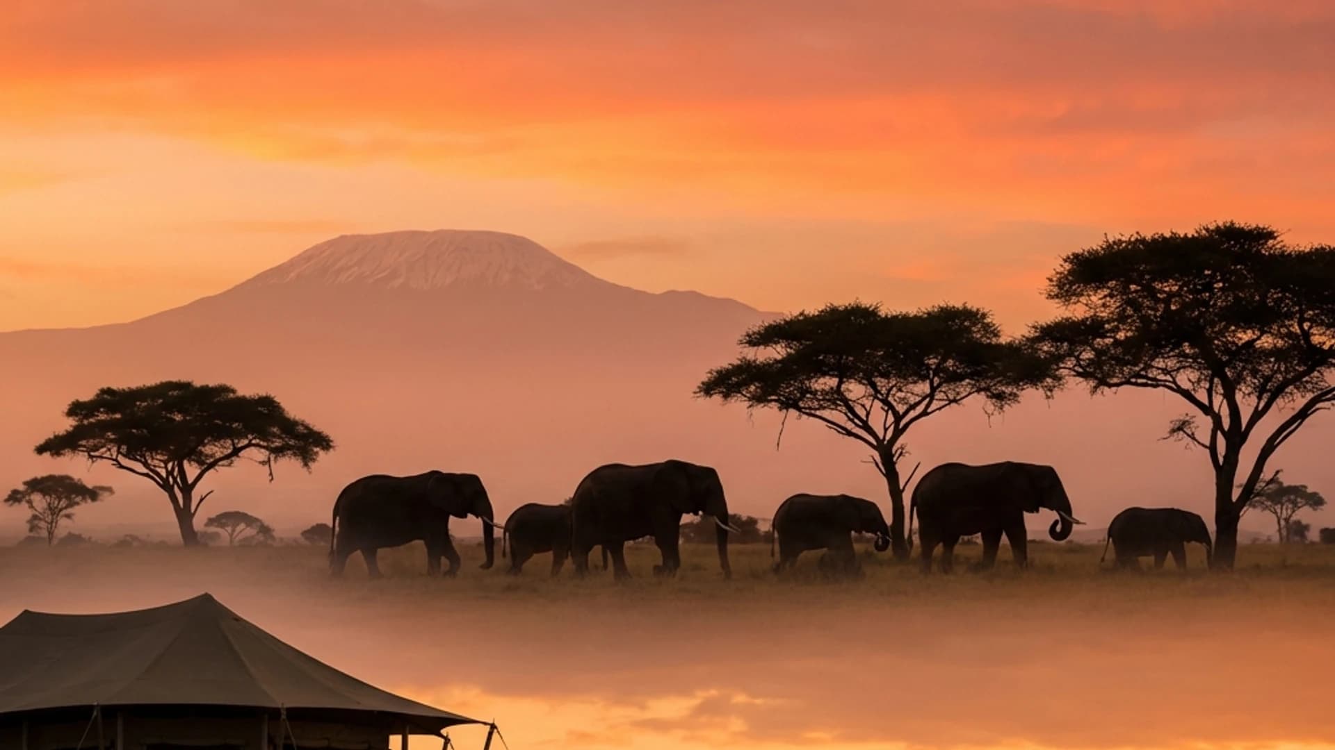 Kenya background